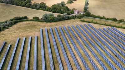 Tennessee farmer leased 100 acres of century-old family land for solar instead of selling it; the 147 MW project is now powering homes and businesses