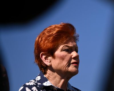 Pauline Hanson’s immigration cuts will cost ‘many billions of dollars’ to implement, former top official says