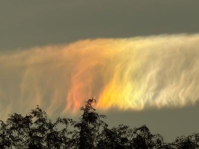 Cloudy with a chance of rainbow: iridescent clouds brighten the sky over parts of Victoria