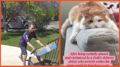 ‘I hate cat people’: FedEx driver recorded throwing boxes of cat litter, causing them to explode, all the while ranting about his hatred for cats
