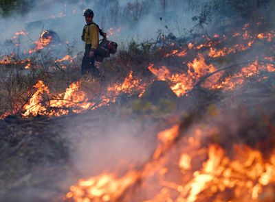 Firefighters make progress to contain northern California’s Lucas fire