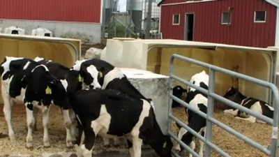 Massachusetts dairy turned cow manure and food waste into energy; it now saves thousands on heat, fertiliser and bedding