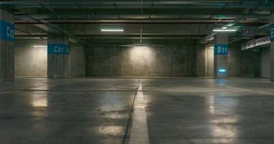 Traveller sexually assaulted in car park 'thought it had turned into murder'