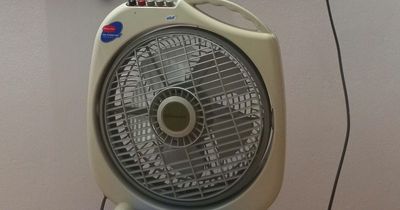Thương hiệu tôi yêu: Chiếc quạt Điện cơ Thống Nhất và hai món quà của cha
