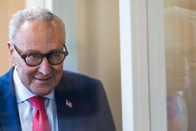Chuck Schumer demands end to rogue Homeland Security voter fraud operation