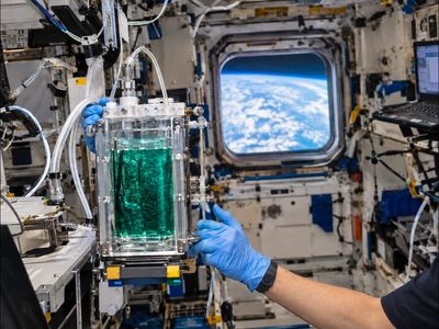In 2025, DLR tested continuous spirulina growth on the ISS for future closed-loop life support; Limnospira indica produced oxygen and edible biomass in microgravity