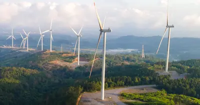 Quảng Trị chấp thuận Xuân Cầu Holdings đầu tư nhà máy điện gió 6.500 tỉ đồng