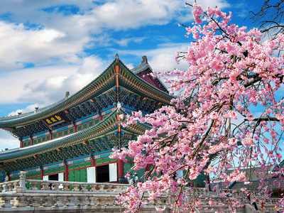 South Korea visa services now available at six VFS Global centres across South Asia