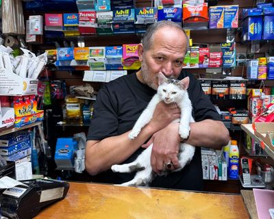 Catnapped bodega cat in Brooklyn reunited with owner after intense grassroots campaign