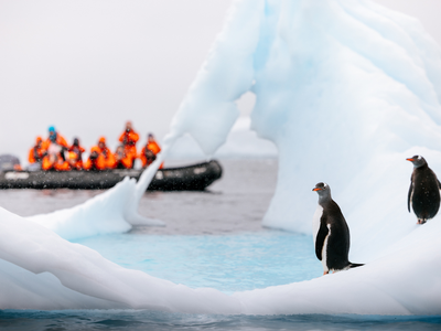 Antarctica flights take off with fuel made from kitchen waste