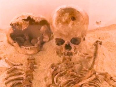 Stone Age high: Ancient Indonesian foragers may have sucked on mind-altering nuts 25,000 years ago, study finds