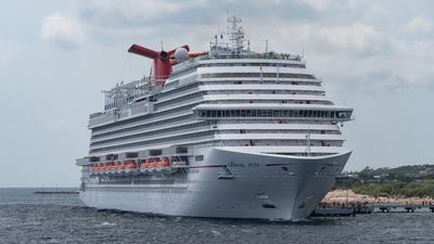 Woman traumatized after getting on Carnival Cruise. She finds bizarre ‘crowd management’ gear, baby cups, and copies of the Declaration of Independence
