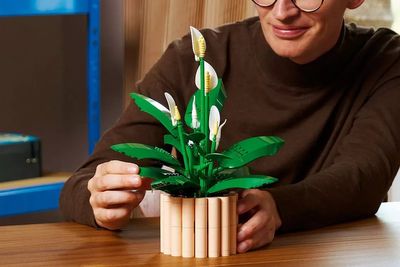Best deals on Lego sets for adults, from botanical to Formula 1