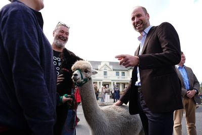Prince of Wales strokes alpacas during visit to Dartmoor