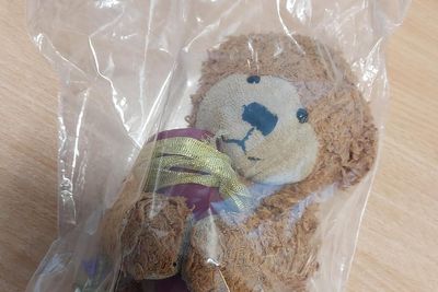 Pet owner to be reunited with urn of dog ashes that was left on train