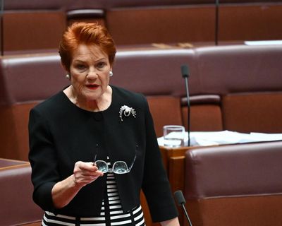 Is Pauline Hanson marching Australia towards a Brexit-style hostility to reason?