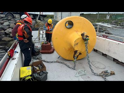 How 285 reef balls are turning an ocean desert into a thriving ecosystem in Newfoundland and Labrador’s Placentia Bay