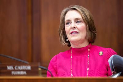 Democratic group lays out environmental, economic roadmap