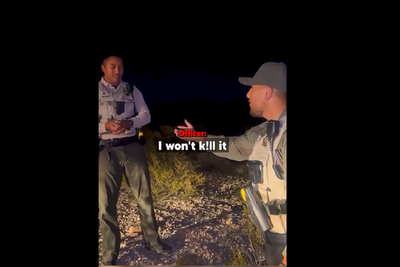 Video of US Officer Killing Baby Rabbit Resurfaces – Sheriff Fires 4, Including Deputy Who Tried to Save It