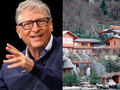Bill Gates’ $132 million Xanadu 2.0 was meant to use rare old-growth timber, but a tiny owl changed his mansion plans and led him to use reclaimed wood instead