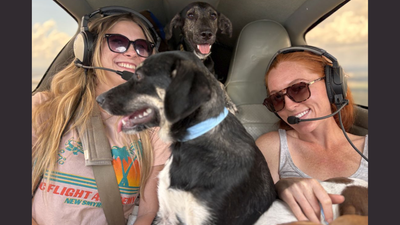 Florida volunteer pilots started flying animals out of overcrowded shelters in 2010