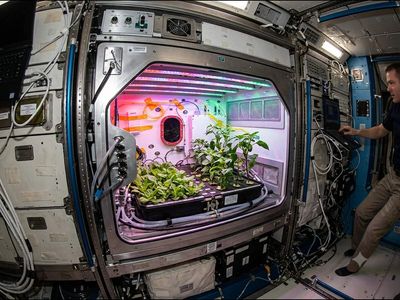 In 2017, a fully automated facility for plant bioscience research was launched to the International Space Station: What NASA studied in space?