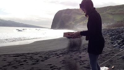 Fishing waste from as far away as US and Canada washes up on Portuguese beaches