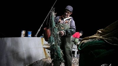 The 'silent waste' of Greek seas: Thousands of concrete blocks lifted from seabed