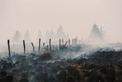 EU plans new firefighting fleet after deadly summer heat wave