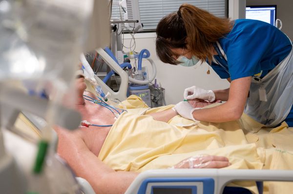 IV Start Kit Recall Gets FDA's Most Serious Class I Rating Over Fungus in Skin Prep Applicators