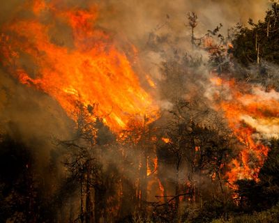 ‘We’re near a breaking point:’ firefighters say US government is failing them amid intense wildfire season