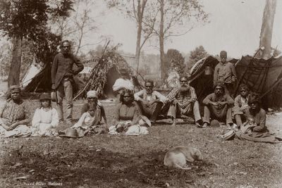 Australia may have had a much larger Indigenous population before Europeans arrived