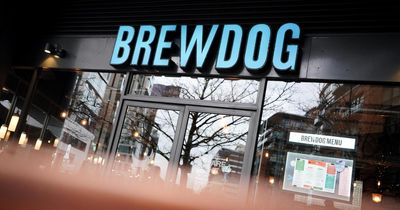 BrewDog adverts banned by regulator after breaking rules