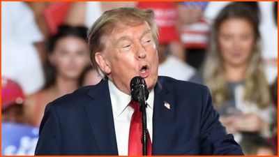Trump promised to publicly shame the Smithsonian this summer. So the administration is now installing signs to do it: ‘Anti-white animus’