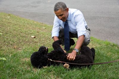 Barack Obama announces death of beloved dog Sunny who joined family in the White House