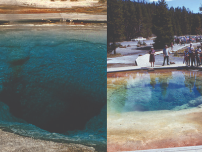 Before the 1960s, Yellowstone’s Morning Glory Pool was deep blue. Visitors threw in pennies, rocks and garbage, and its color changed