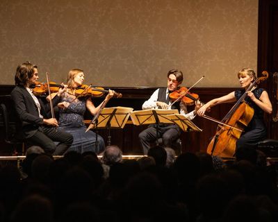 The secret of Mozart’s genius unlocked – has a teenager succeeded where generations of musicologists have failed?