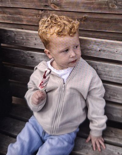 Body found in search for missing three-year-old Noah Woods