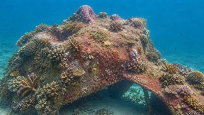 Art-Led Artificial Reef: Mazu statue anchors coral project; study warns it can’t replace natural reefs