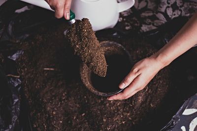 Stop Buying Potting Soil Every Year — Here’s What Can Actually Be Reused