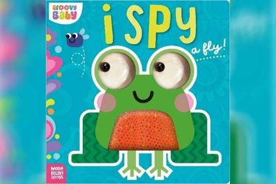 Aldi and TK Maxx among stores to recall popular children’s book over chocking fears