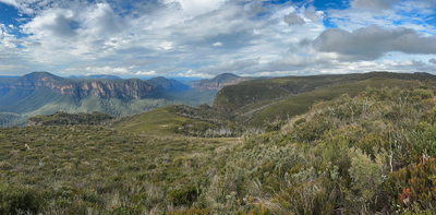 We could soon be able to track changes in Australia’s forests in near-real time – using satellites