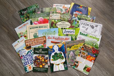 Received Seeds You Never Ordered? USDA Says Don’t Put Them in the Ground