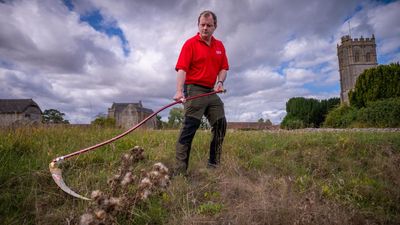 English Heritage trains new generation of scythers to maintain meadows and craft