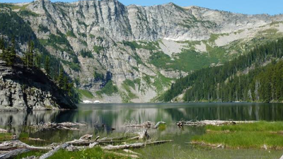 Second Phase Of Easement: Montana pursues $17.1mn timberland deal; public can weigh in by September 26