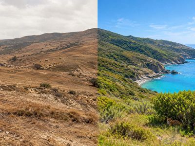The Wrigley family spent 56 years reshaping Catalina Island after buying it in 1919; in 1975, they gave 42,135 acres away to protect the California island