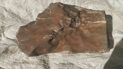 Martian Meteorite Record Sale: Niger probes ‘illicit international trafficking’; trade rules under scrutiny