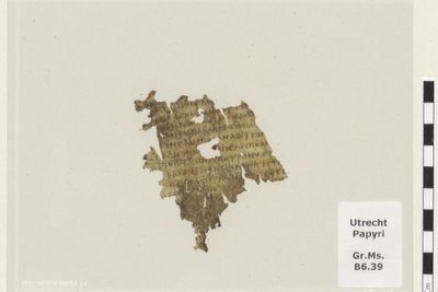 Small 1,700-year-old fragment of Odyssey found tucked in Dutch library book