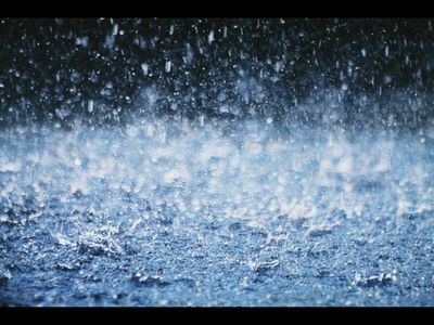 Chicago weather forecast: Rain, thunderstorms could disrupt weekend plans; Riot Fest, Bears game and White Sox games face wet weather