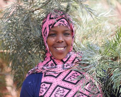 Fifty billion trees by 2030: how Ethiopia is recruiting citizens across the country to plant, plant, plant